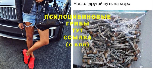 соль ск Абаза