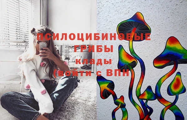 наркотики Алексин