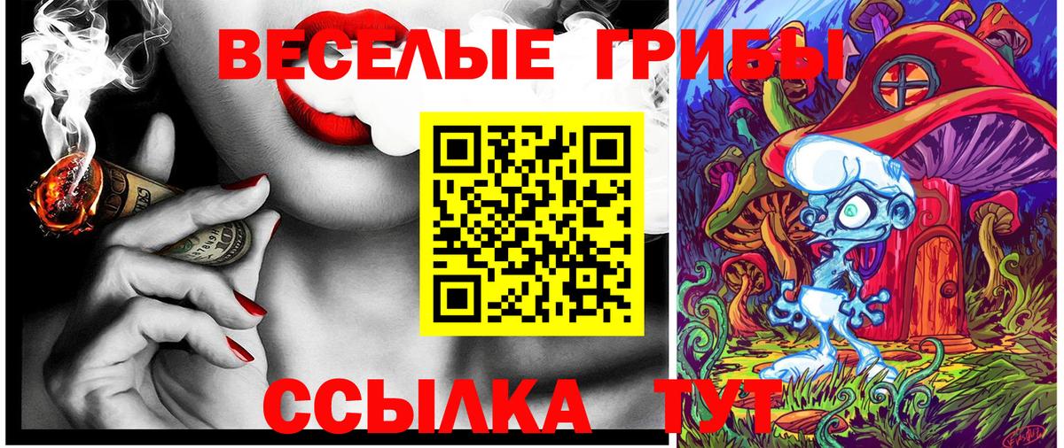 Галлюциногенные грибы MAGIC MUSHROOMS  Вход с VPN  Галлюциногенные грибы Psilocybe  Новоалександровск 